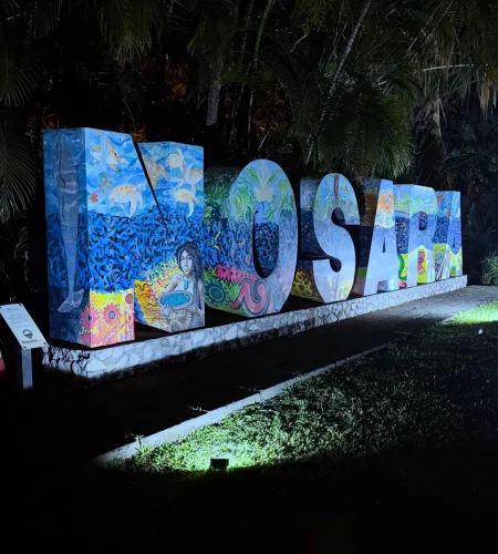 907AAA33-7C3B-4361-9EC0-3DB36F287A17