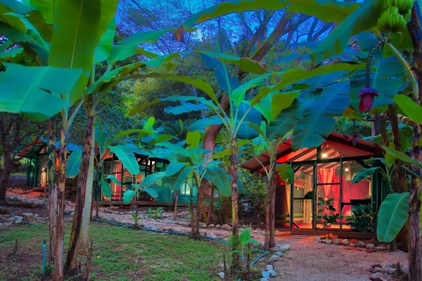 New+Super+Dusky+trio_corrected_3k