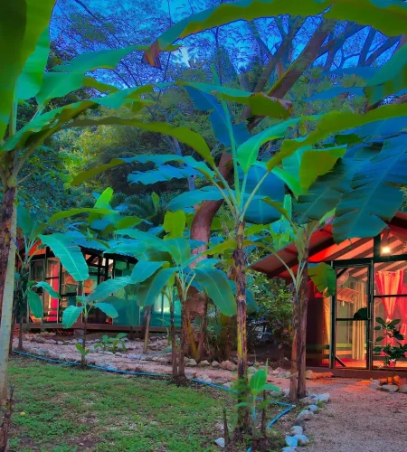 New+Super+Dusky+trio_corrected_3k